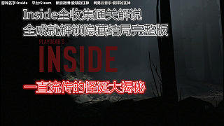 【狂神】Inside全收集通关解说+全成就解锁隐藏结局+完整版