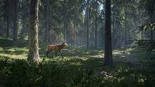 猎人：荒野的呼唤和幽灵行动：荒野的游戏视频