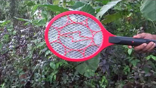 爽炸！示范用电蚊棒在一分钟之内电死100只蚊子！