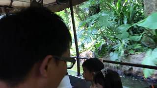 旅游：香港迪斯尼乐园探险