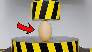 世界上最令人满意的视频：压榨测验鸡蛋