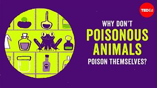 为什么剧毒动物不会毒死自己？好奇