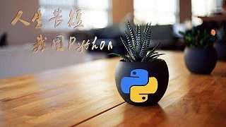 Python——面向过程