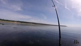 渔乐生活家钓鱼：退潮的海边玩路亚，从头到尾大弯弓！