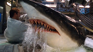10吨重的鲨鱼，袭击美国海洋基地，疯狂捕食人类！