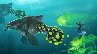 深海迷航：寻找最后的蓝图，孵化毒气鱼