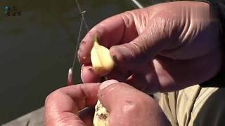渔乐生活家：大蒜在鱼线上来回摩擦，钓鱼人说护线还诱鱼，谁试过