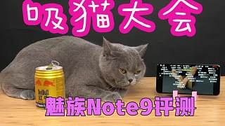 魅族Note9评测秒变大型吸猫现场，续航能力堪比噬元兽？