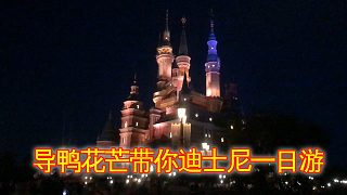 上海行Vlog04：导鸭花芒带你迪士尼一日游，导演小黄鸭露脸啦！