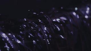 盘尼西林《群星闪耀时》MV