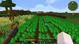 Minecraft我的世界《翔嵘的服务器生存 我的农耕世界2 第二集》