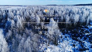 《美丽中国 冰之花》-Ice Flowers