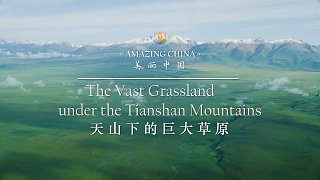 《美丽中国 天山下的巨大草原》-The Vast Grassland