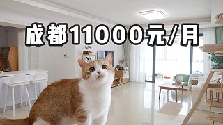 带5只猫搬入170m²大豪宅！大家觉得贵吗？