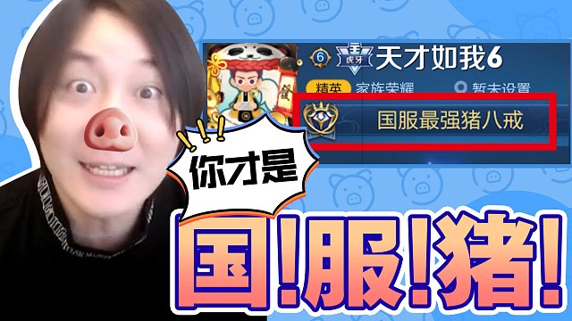 张大仙搞笑视频合集：你才是个国服猪