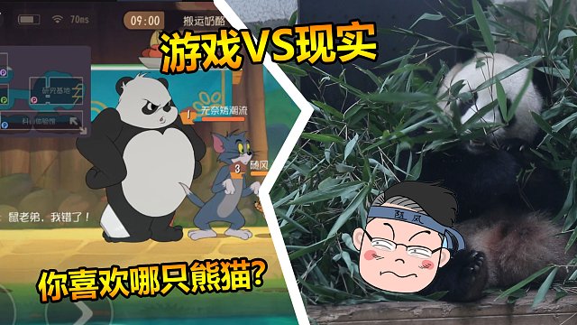 猫和老鼠手游：游戏中的熊猫和现实的熊猫，你更喜欢哪只呢？