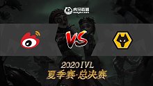 总决赛D1 Weibo vs Wolves 第3局
