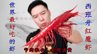 1080买7只西班牙红魔虾，比手臂还要长，吃一个虾头就知道赚大了