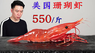 试吃550一斤的美国珊瑚虾，虾身刺身，虾头熬粥，这次又赚大了