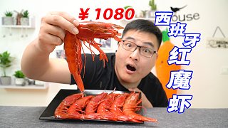 试吃1080元的“西班牙红魔虾”顶级刺身食材！一口下去鲜掉眉