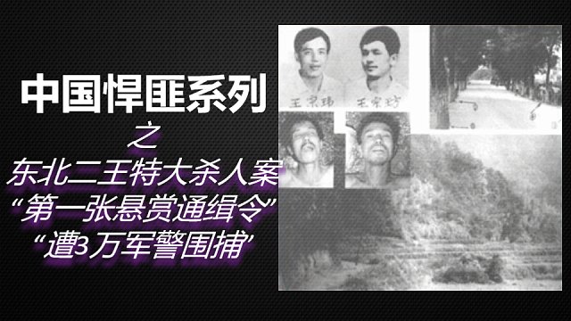 【中国奇案】8分钟带你了解《东北二王特大杀人案》始末！3万军警围捕，第一张悬赏通缉令给了他俩！
