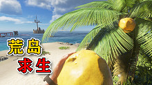 荒岛求生41：在岛上找到两个椰子，又大又甜！