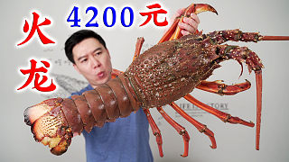 4200买一只巨大火龙虾，做“飞龙在天3.0”，视觉盛宴