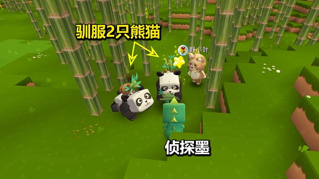 迷你世界粉丝联机31：墨墨开启侦探模式！找到桃林驯服2只熊猫