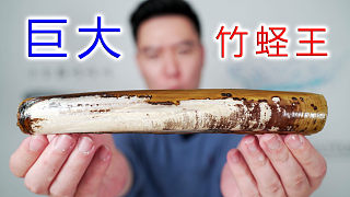 巨大竹蛏王，比手臂还长，用蒜蓉粉丝蒸香的不得了