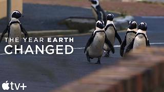 【苹果TV+】大卫·艾登堡旁白纪录片《地球改变之年》@柚子木字幕组