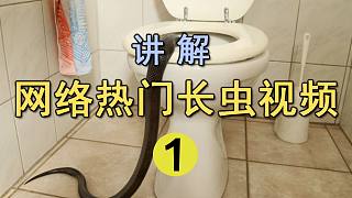 网络热门长虫视频讲解（1）家里厕所进蛇了怎么办?