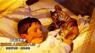 奇幻片：幼虎被男孩当宠物收养，还抱在一起睡，像亲人一样对待！