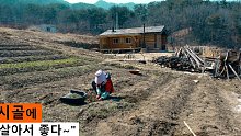 中字【韩国乡村生活】一个院子，3只猫2人简单朴素的生活 20210429
