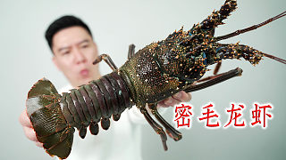 试吃密毛龙虾，刺身极品，做一个超大的龙虾球，后悔死了