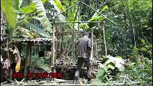 热带雨林，搭建小竹屋庇护所