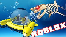 Roblox鲨鱼生存模拟器 开着潜水艇和骨鲨刚正面