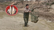 1500买下鱼塘捕鱼权，抽水就抽了两天，看看捕了多少大鱼