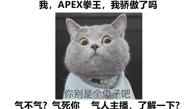 【猫薄荷拌饭酱】我，APEX拳王，我骄傲了吗