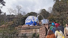 盖碗茶塑像，上千年的银杏、茶树，四川雅安蒙顶山景区有看头